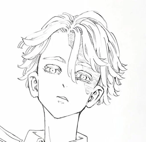 sketch line art illustration