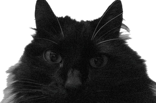 my honest reaction - 