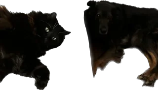 Sticker my honest reaction - 6