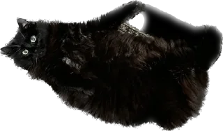 Sticker my honest reaction - 8