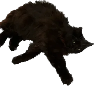 Sticker my honest reaction - 7