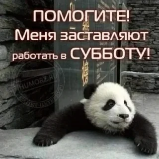 Sticker melanthe - 8