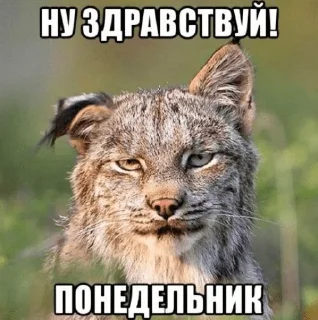 Sticker melanthe - 5