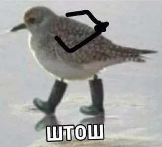 Sticker melanthe - 0