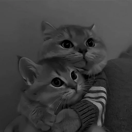 ᴍᴇʟғɪx::https://t.me/Meelfix - 