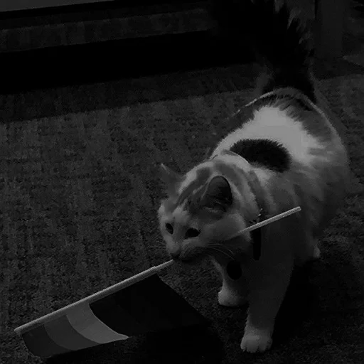 Sticker melfix_1 - 1