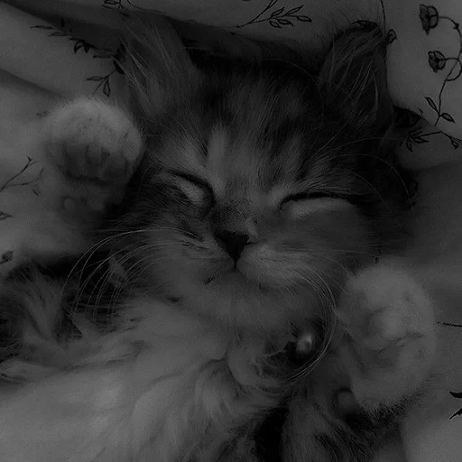 Sticker melfix_1 - 1