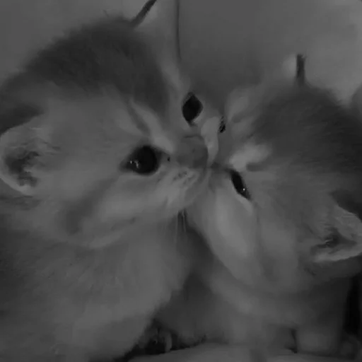 Sticker melfix_1 - 1