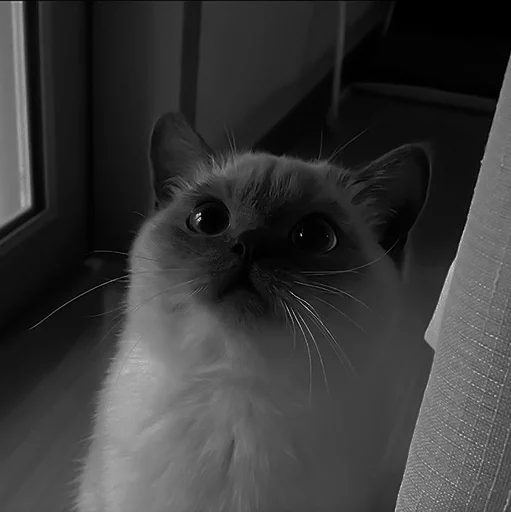 Sticker melfix_1 - 1