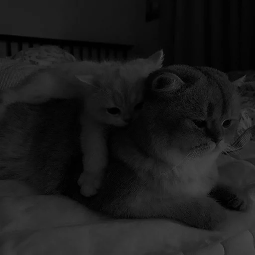 Sticker melfix_1 - 1