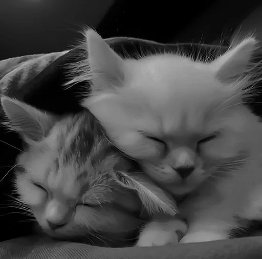 Sticker melfix_1 - 1