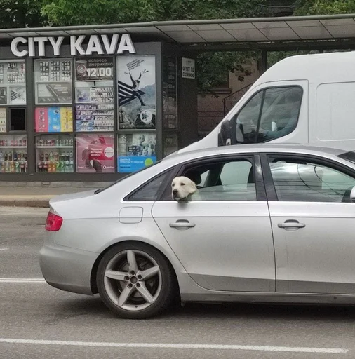 wheel vehicle land vehicle