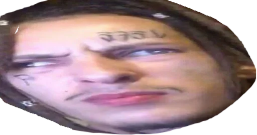 human face eyebrow lip