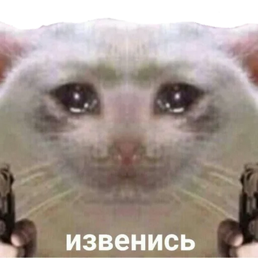 животное млекопитающее усы