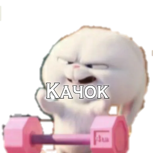 млекопитающее гантель