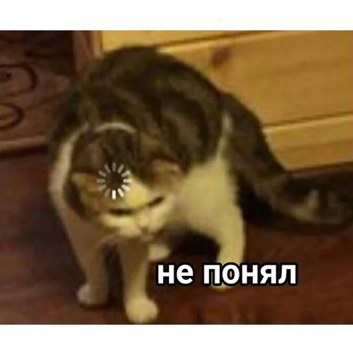 млекопитающее животное СМС