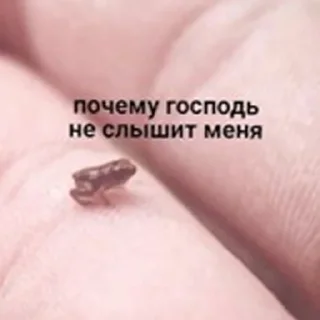 Стикер ОПП - 9