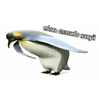 Стикер ОПП - 1