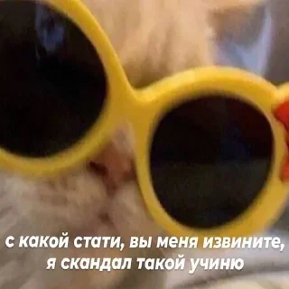 Стикер ОПП - 6