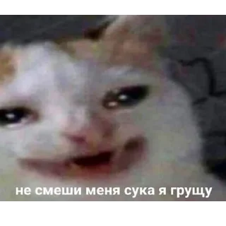 Стикер ОПП - 8