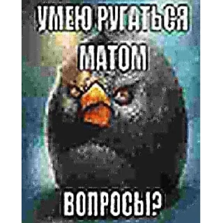 Sticker Мем пак - 1