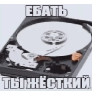 Sticker Мем пак - 7