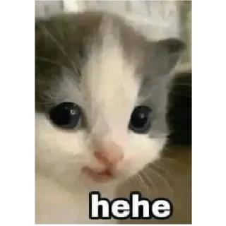 Sticker Мем пак - 10