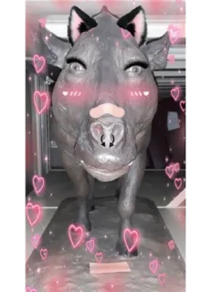 Sticker мэмы - 7