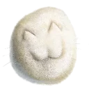 Sticker мемосы - 2