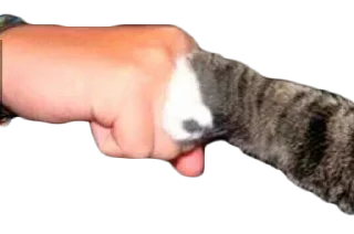 Sticker мемы для славян. - 1