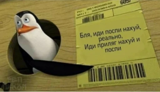 СМС птица тупик