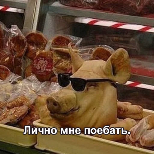 text fast food snack