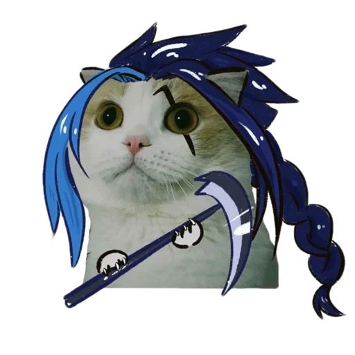 Sticker memecats7 - 1