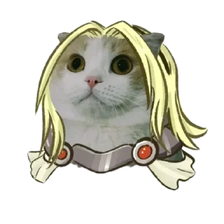 Sticker memecats @stickersb2b - 10