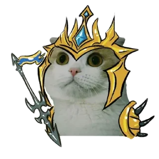 Sticker memecats @stickersb2b - 5