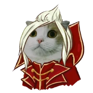 Sticker memecats @stickersb2b - 2