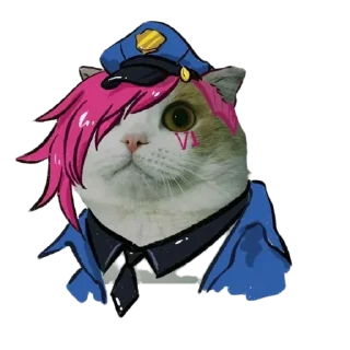 Sticker memecats @stickersb2b - 0