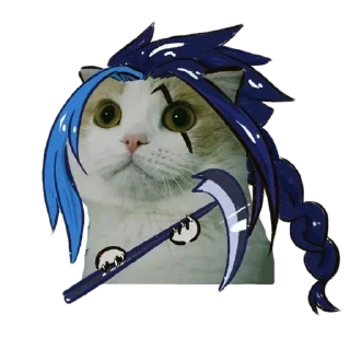 Sticker memecats @stickersb2b - 7