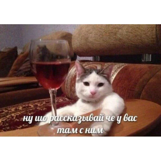 Sticker Meme pack for elite people - 2