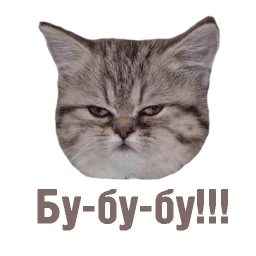 Sticker memekotans - 1