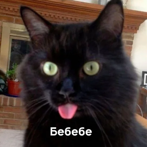 Стикер memekotans - 1