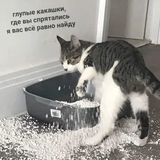 Sticker memekotans - 1