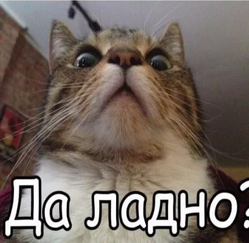 Sticker memepack2021 - 1