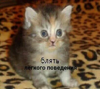 Sticker Бабиджоанна - 10