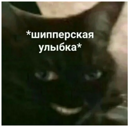 Стикер memes20V 2 - 11