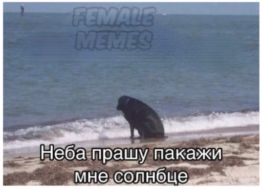 Стикер memes20V 2 - 7