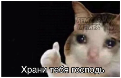 Стикер memes20V 2 - 0