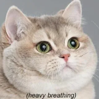 Sticker memes_again - 7