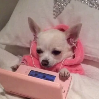 Sticker memes_again - 8