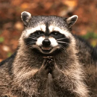 Sticker memes_again - 6